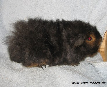 WMs Kalahari-Sundance WMs Kalahari-Sundance